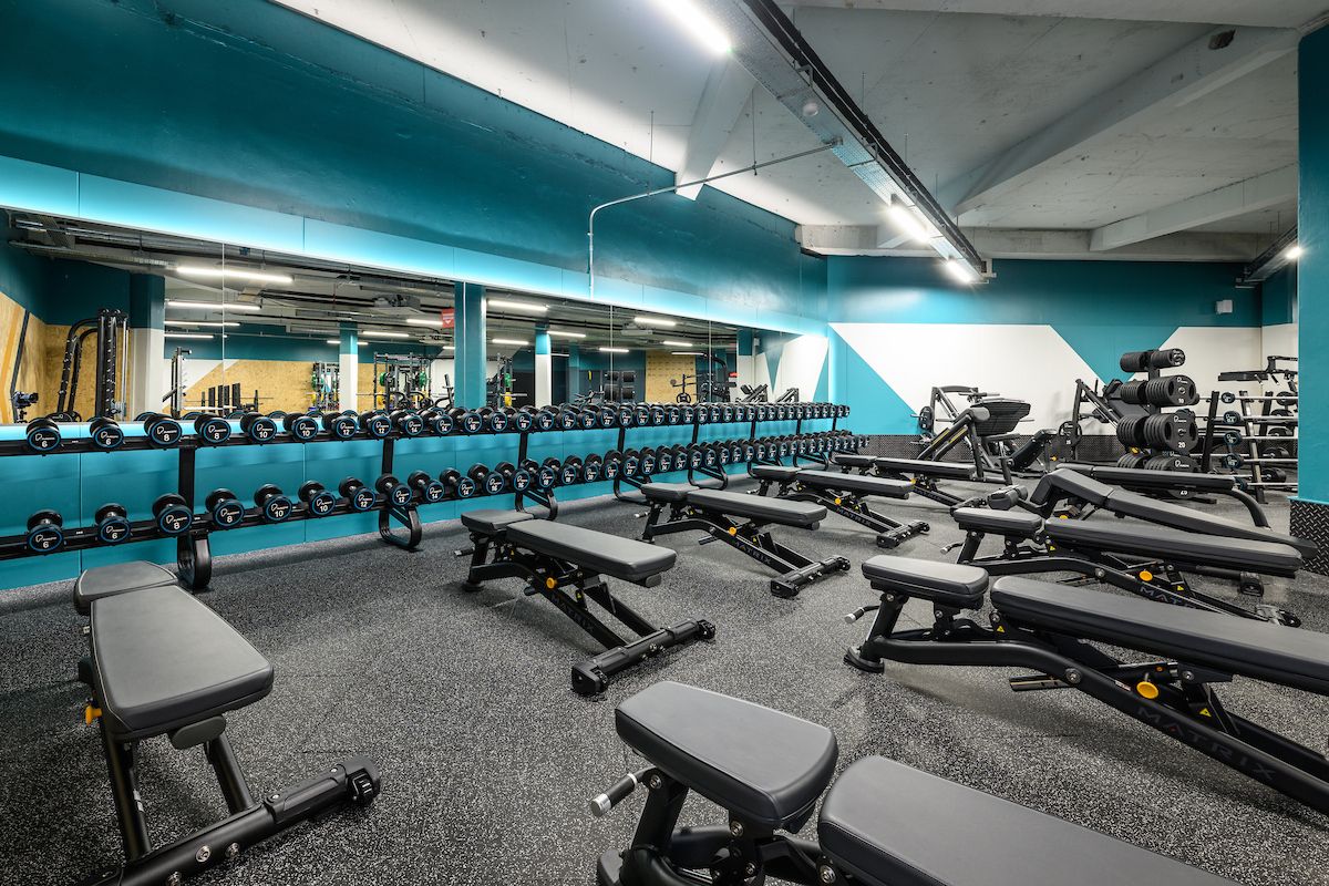 London Harrow Free Weights