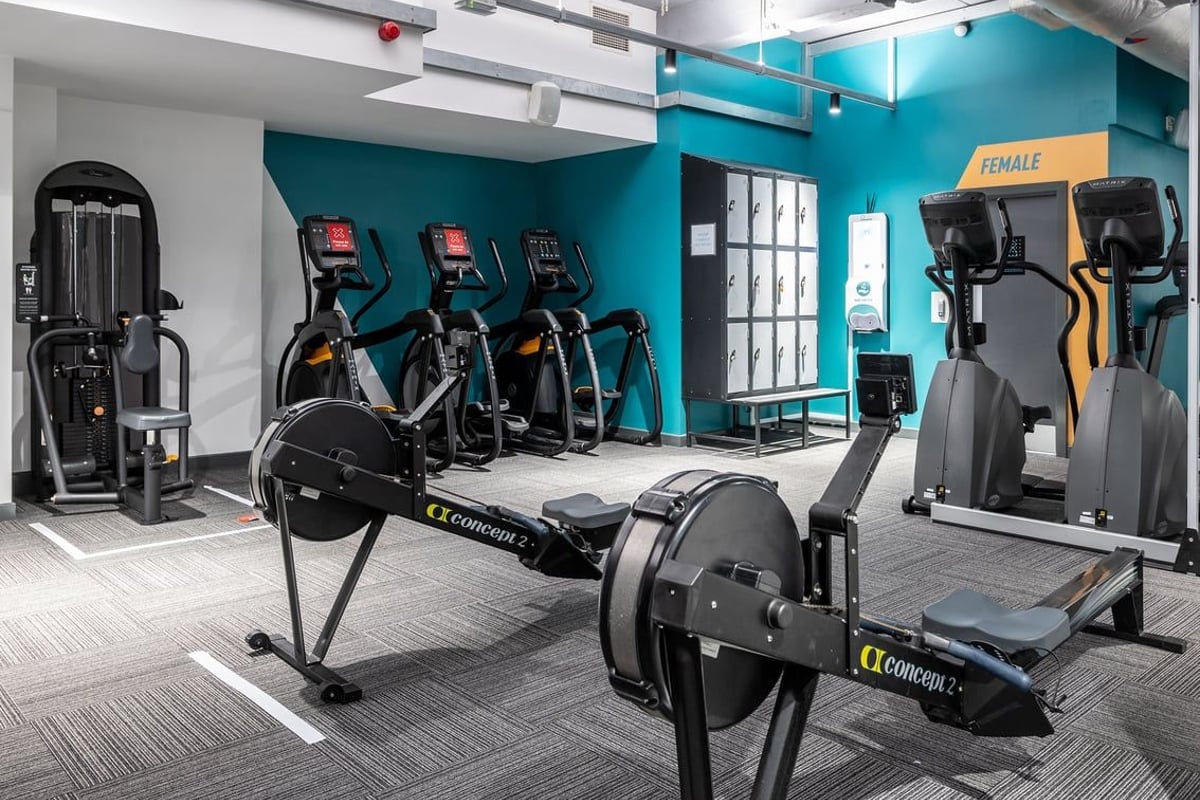 PureGym London Sydenham: Rows of treadmills, ellipticals, and weight machines in a teal-colored fitness studio.