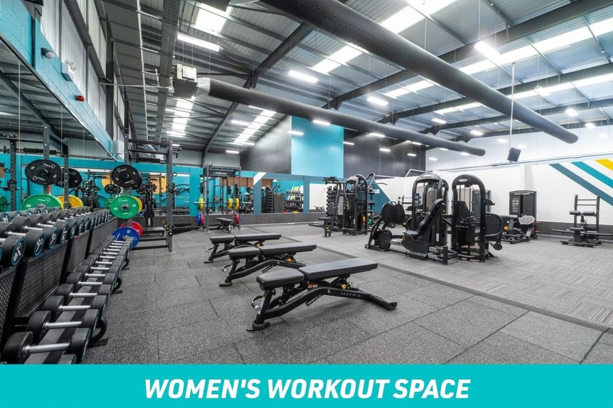 PureGym Wolverhampton South Women's Workout Space: row of dumbbels and benches with fixed pin machines and squat racks in the background