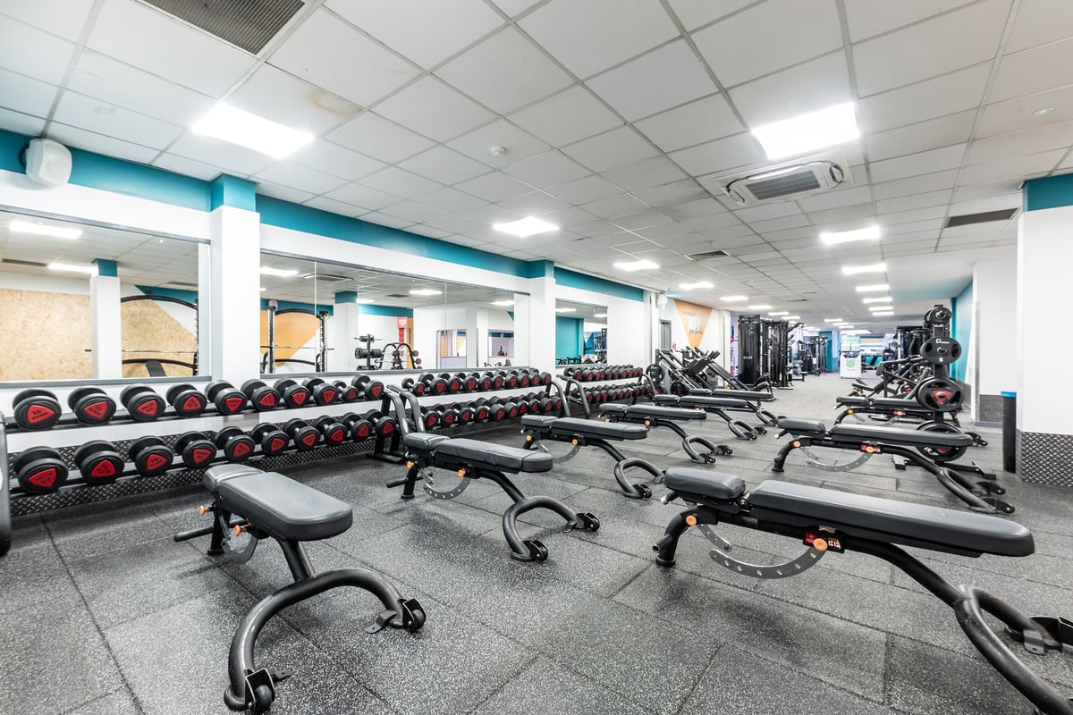 PureGym Purley: Free weights, benches, resistance machines and weight racks in a brightly lit gym interior.