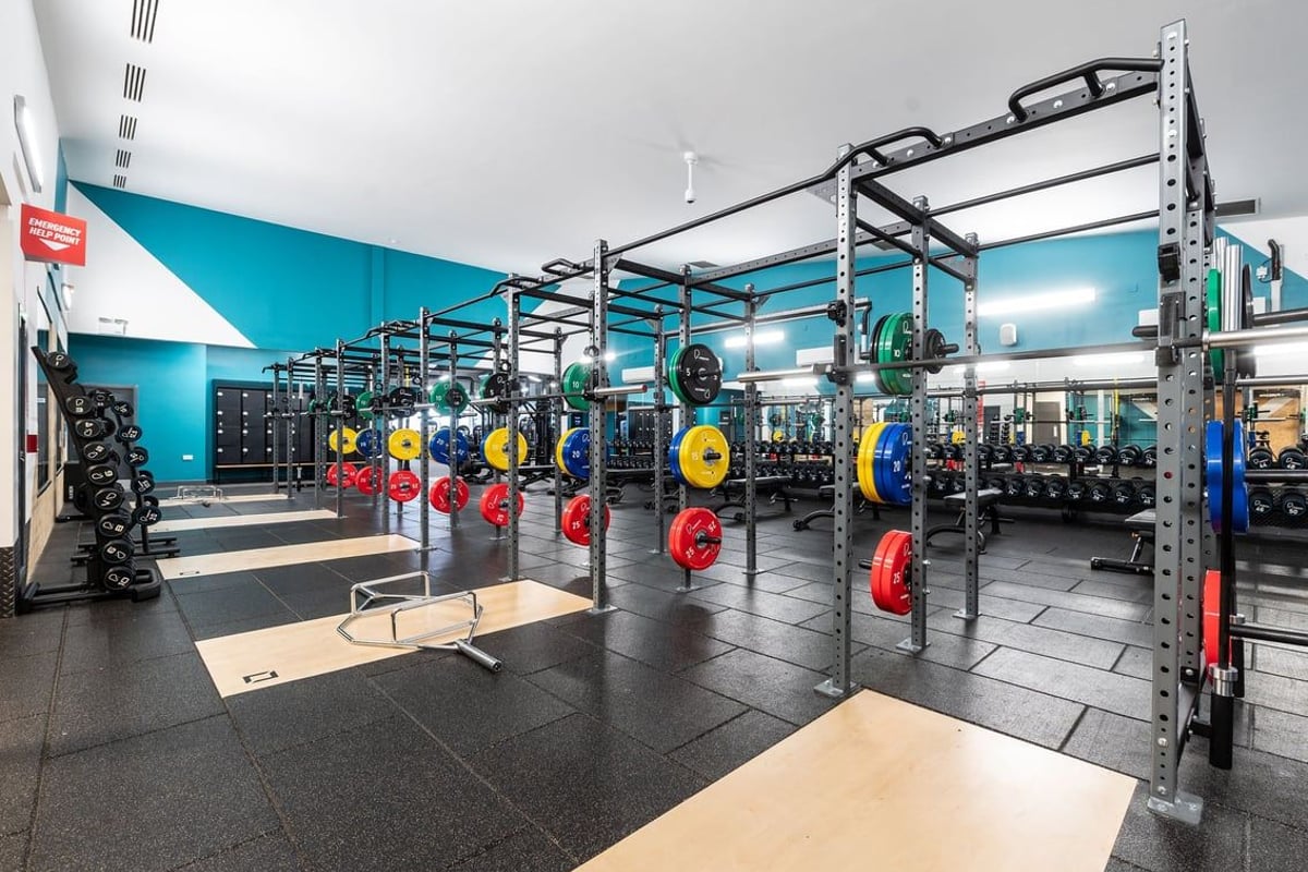 PureGym Loughborough: Rig of squat racks, weight plates in yellow and red hues, rubberized floors, mirrored walls.