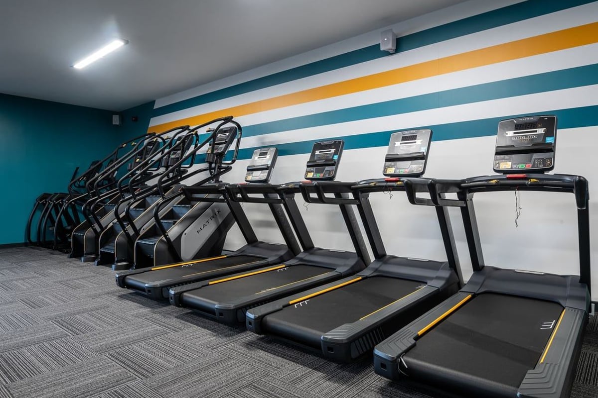 PureGym Airdrie: Rows of treadmills in a gym room with striped teal and yellow walls.