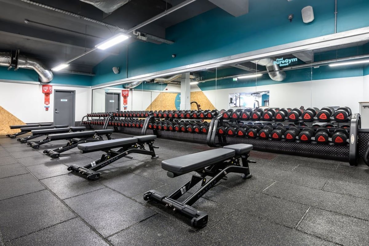 Stirling Free Weights