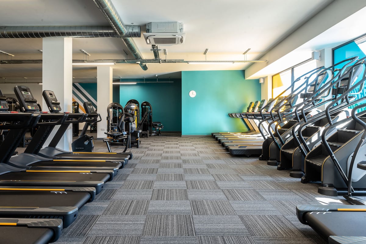 PureGym London Catford Rushey Green: Rows of treadmills, ellipticals, exercise bikes, and wall graffiti art.