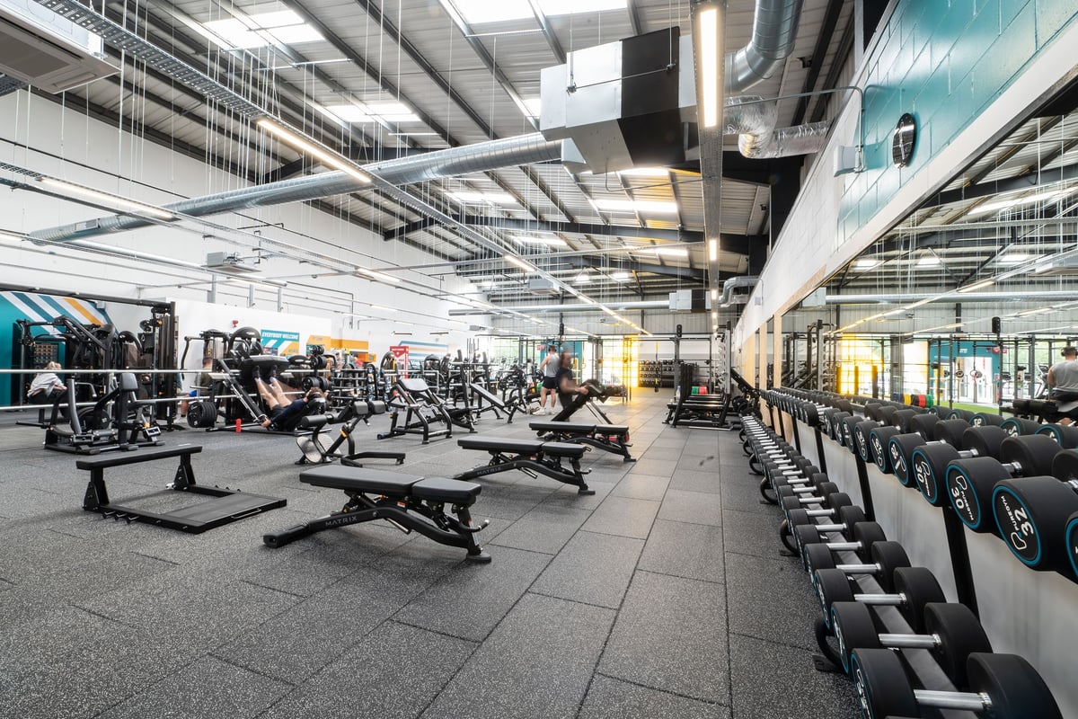 PureGym Dover: Rows of weight benches, squat racks, free weights, and rubberized flooring in a spacious gym.