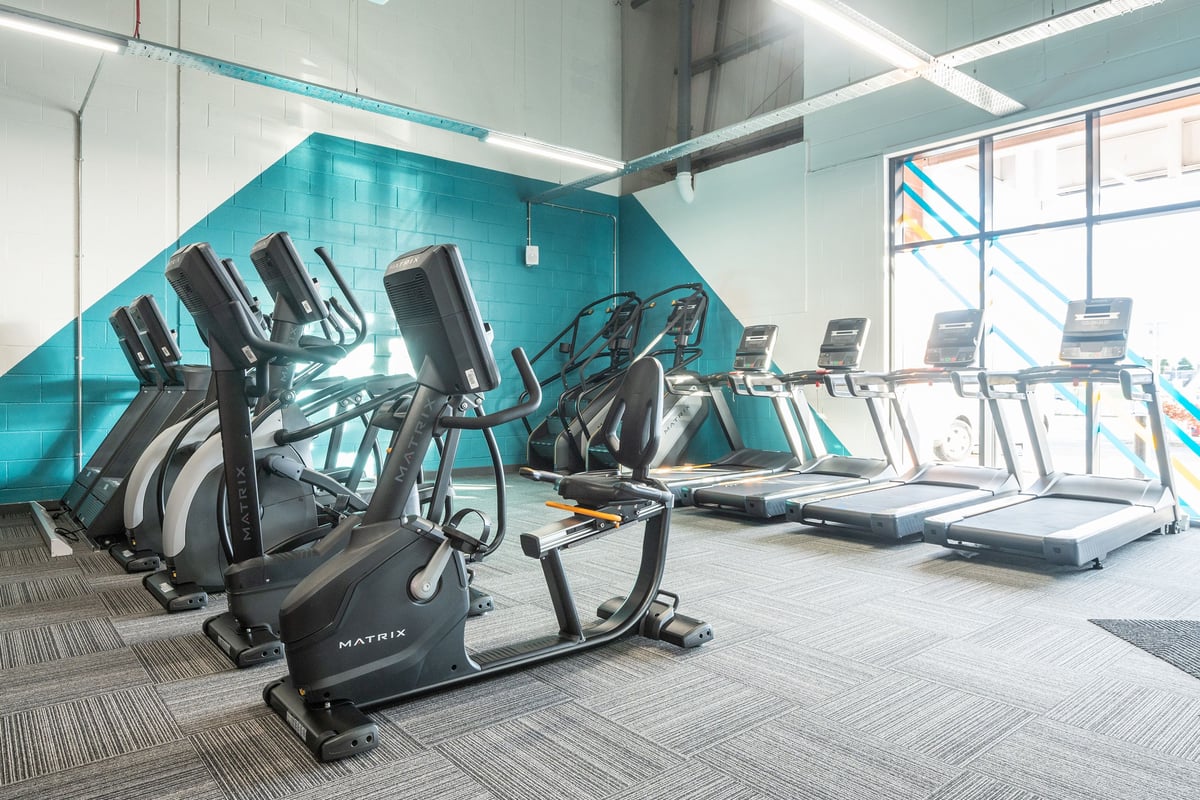 PureGym Lanark: Rows of exercise bikes, treadmills, and ellipticals in a bright gym space with teal walls.