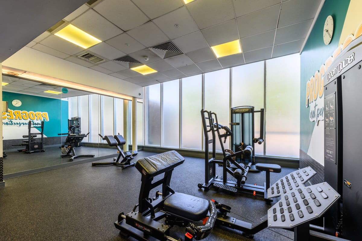 London Finchley Free Weights
