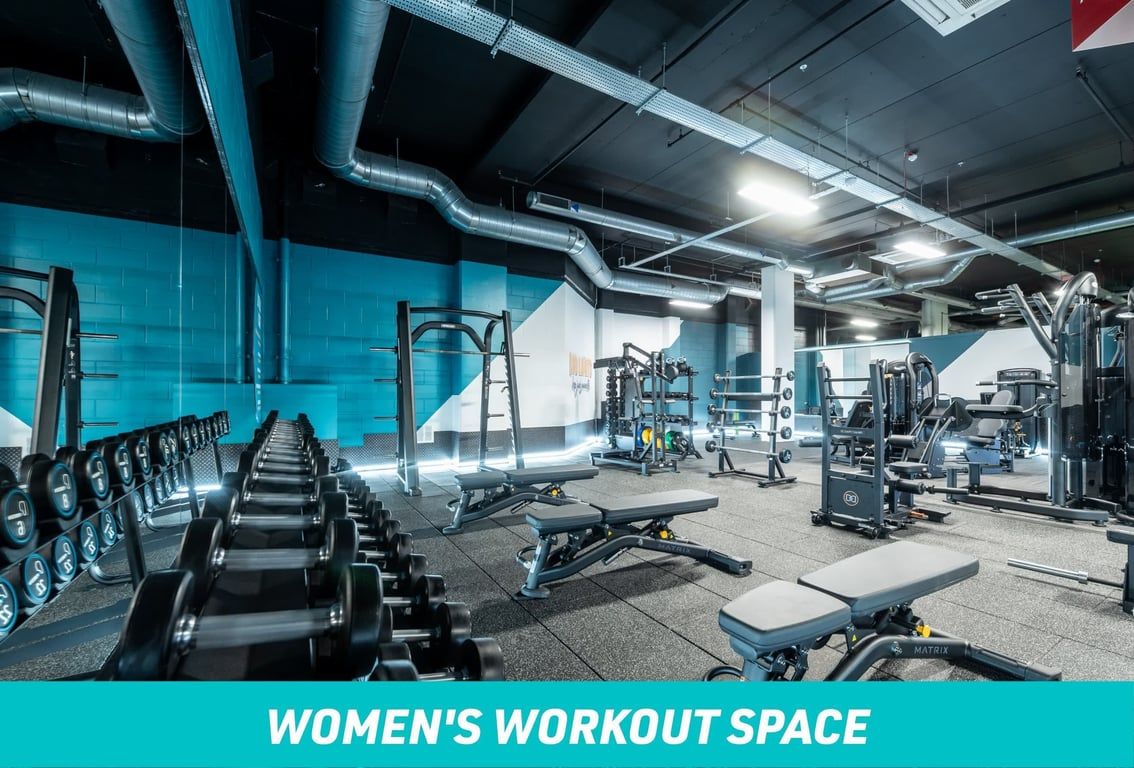 PureGym Norwich Castle Mall Women's Workout Space: Row of dumbbells, benches and barbells