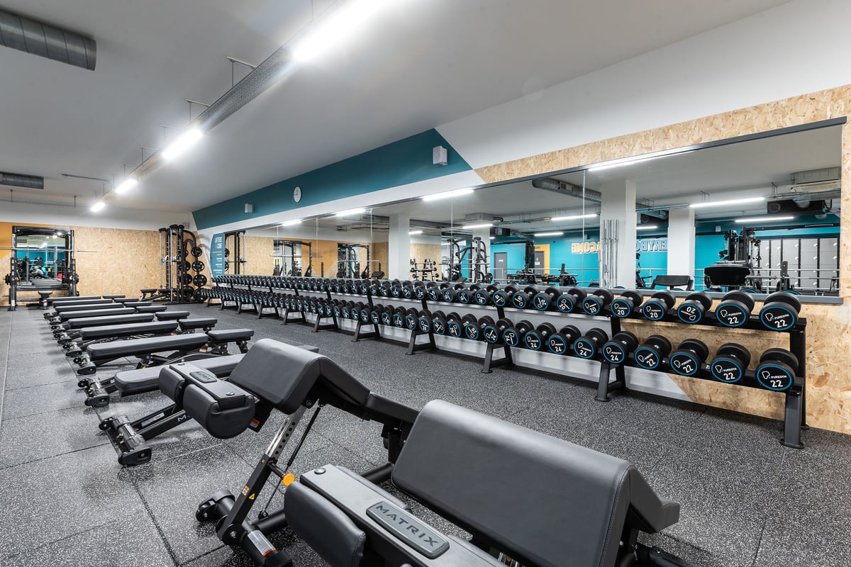 PureGym London Catford Rushey Green: Rows of free weight racks, benches, dumbbells, and rubberised flooring.