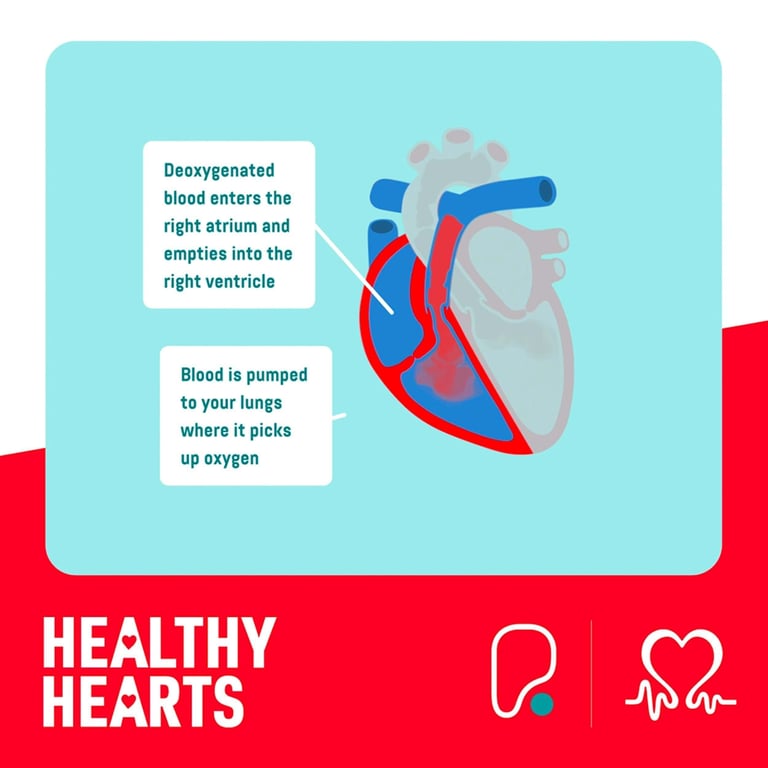 heart right side