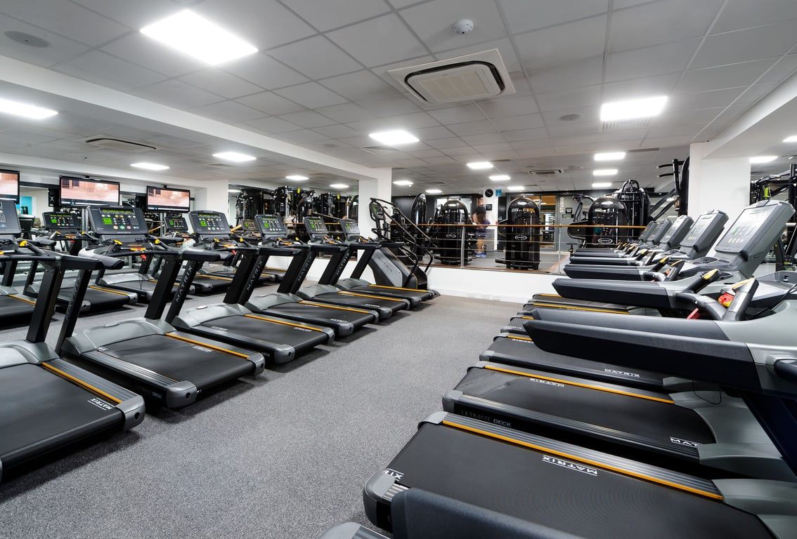 PureGym Billericay: Rows of treadmills, exercise bikes, and weightlifting equipment in a brightly lit fitness centre.