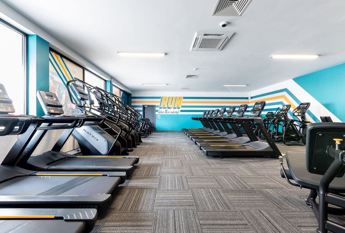 PureGym Selby: Rows of treadmills, ellipticals, and stationary bikes in a modern fitness studio.