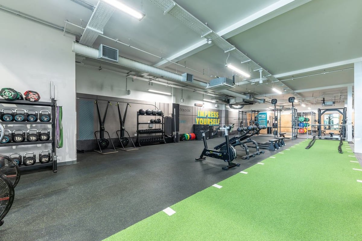 PureGym Leamington Spa: Weight racks, exercise turf, benches, mirrors, suspended weight systems, and rubberised flooring.