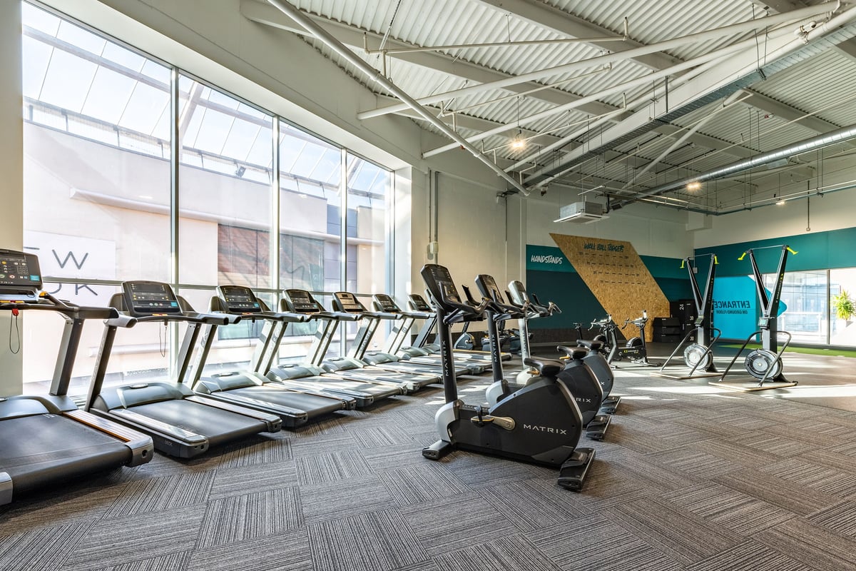PureGym Nuneaton bikes and treadmills