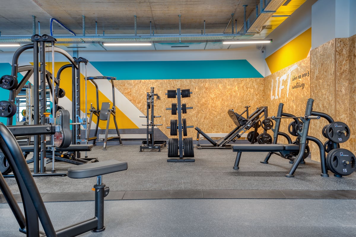 PureGym Altdorf: fixed-pin machines in a gym