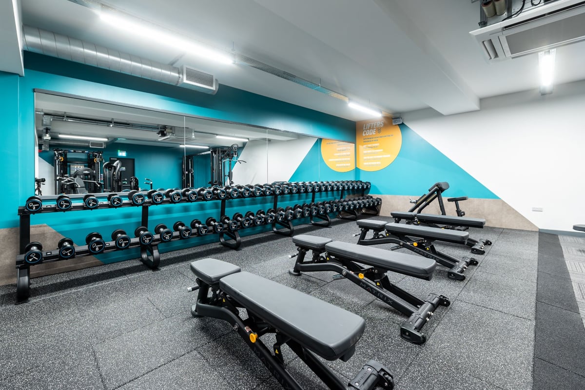 PureGym Diss dumbbells and benches