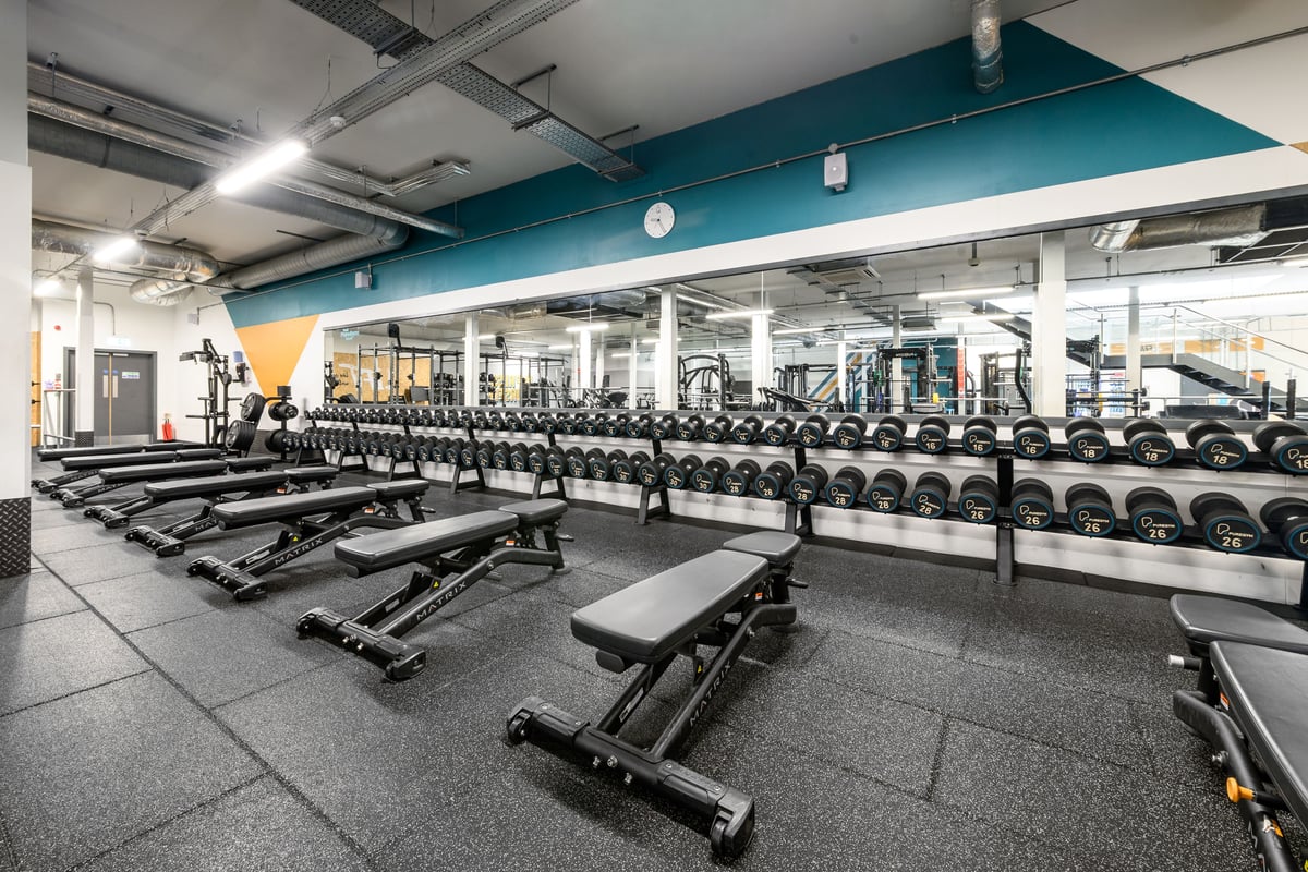 Solihull Sears Free Weights