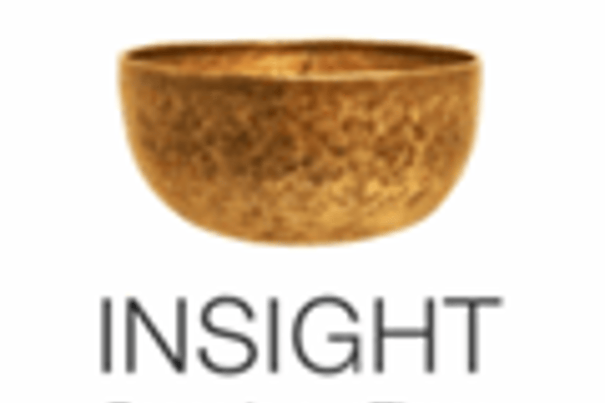 Insight logo