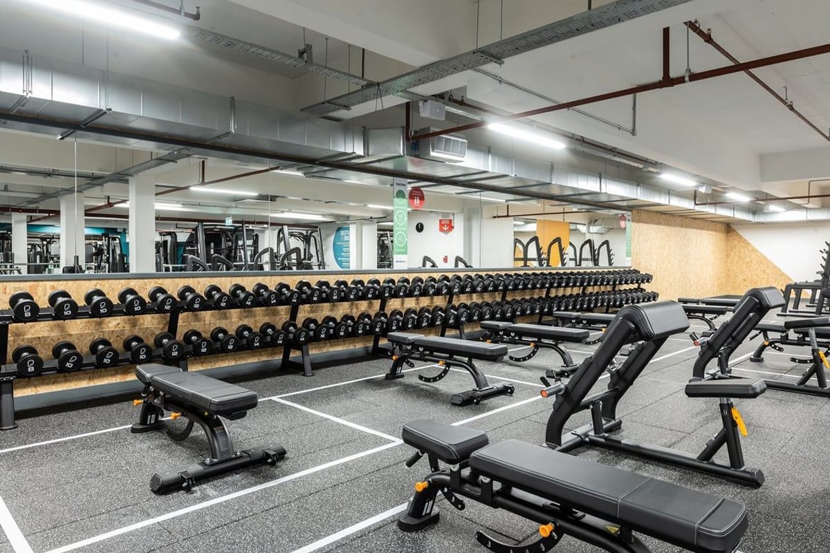 PureGym Gravesend: Rows of dumbbell racks, weight benches, and rubberized flooring in a gym.