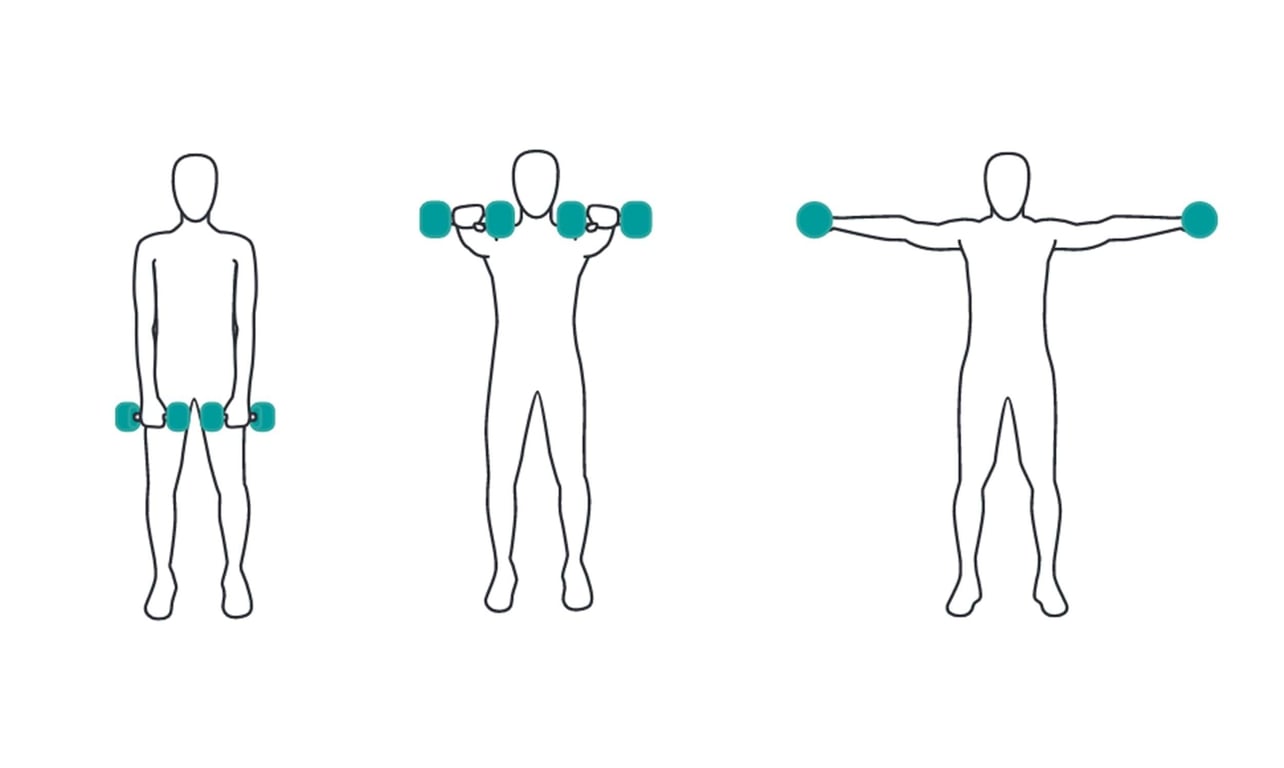 Three figures demonstrating dumbbell exercises: holding by sides, raised to shoulders