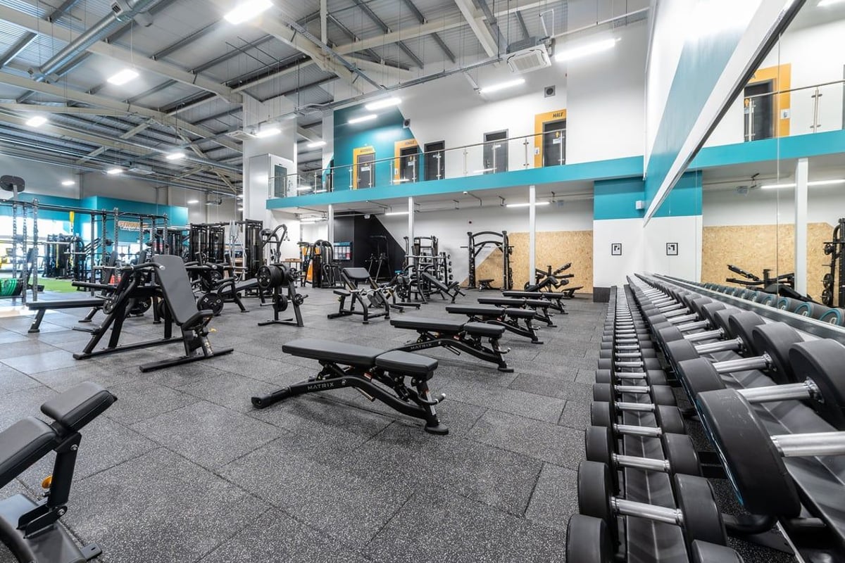 PureGym Portishead: Strength training area with squat racks, benches, dumbbells, and rubberized flooring.