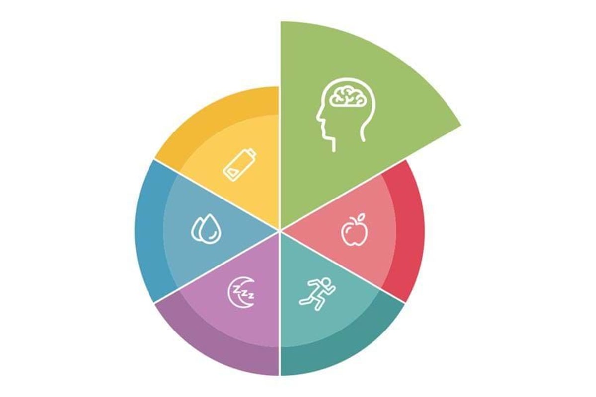 Circle chart with six coloured segments showing icons