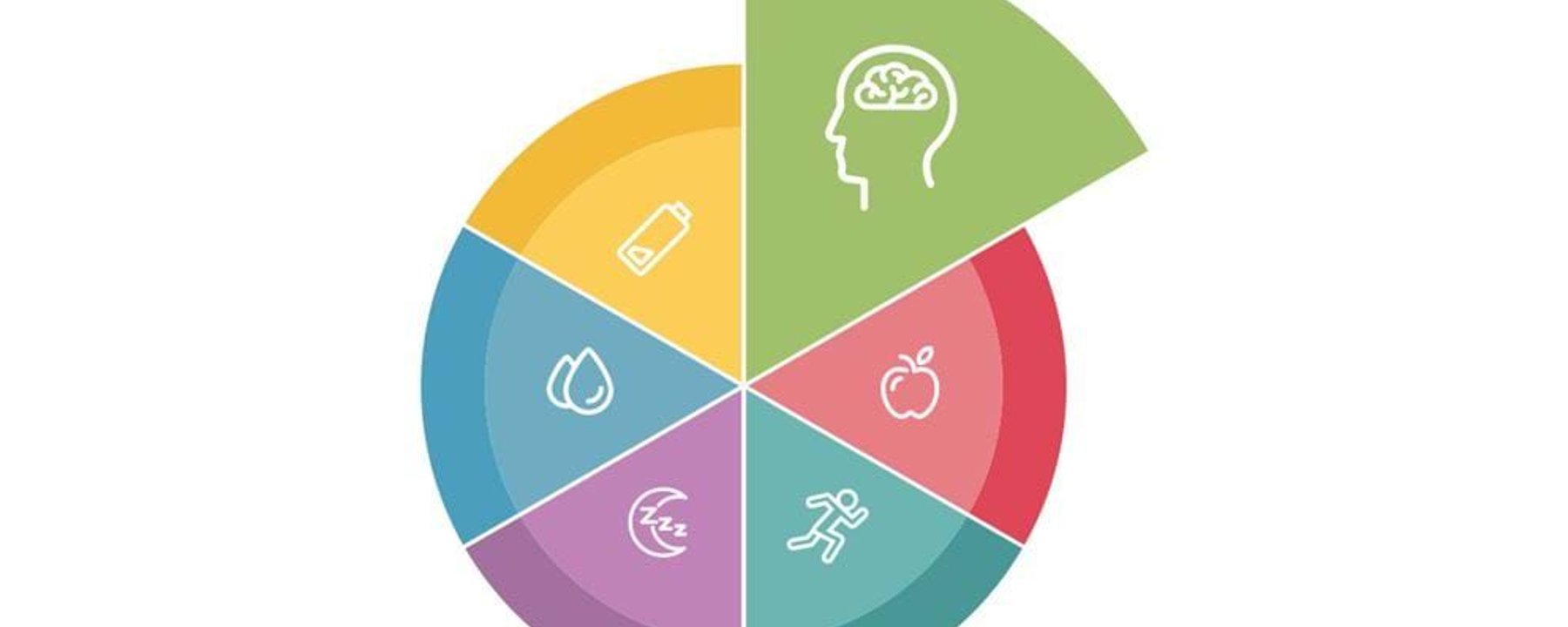 Circle chart with six coloured segments showing icons
