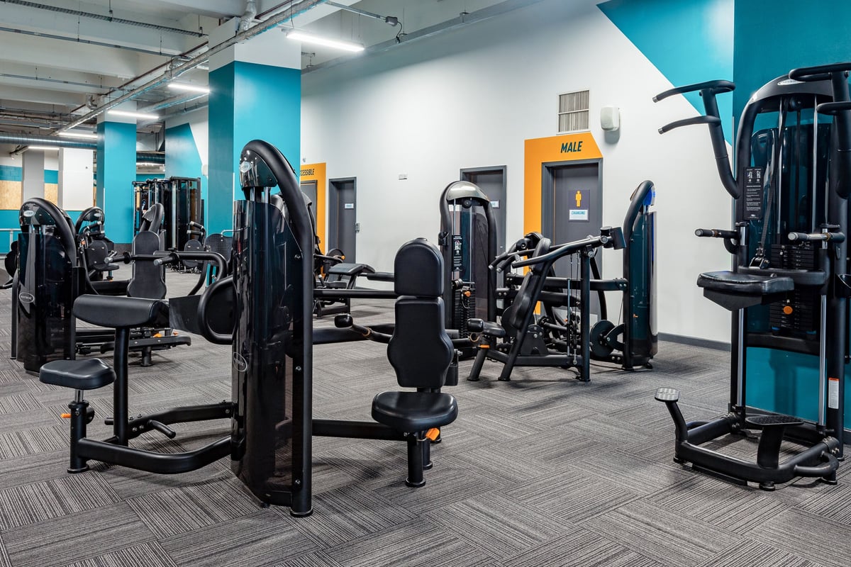 PureGym Leicester St Georges Way: Strength training equipment, weight machines, cable pulleys, and rubberized flooring.