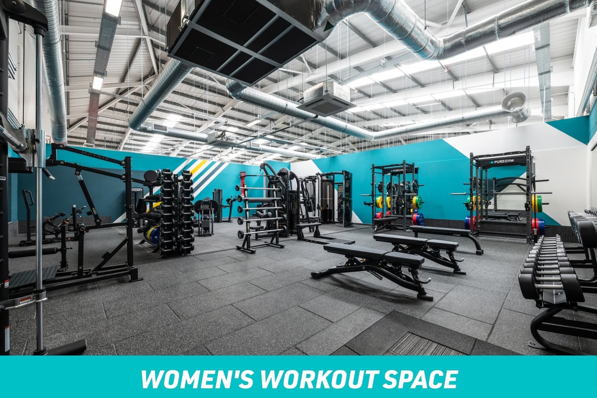 PureGym Wakefield Women's Workout Space: row of benches and dumbbells, barbells, squat racks