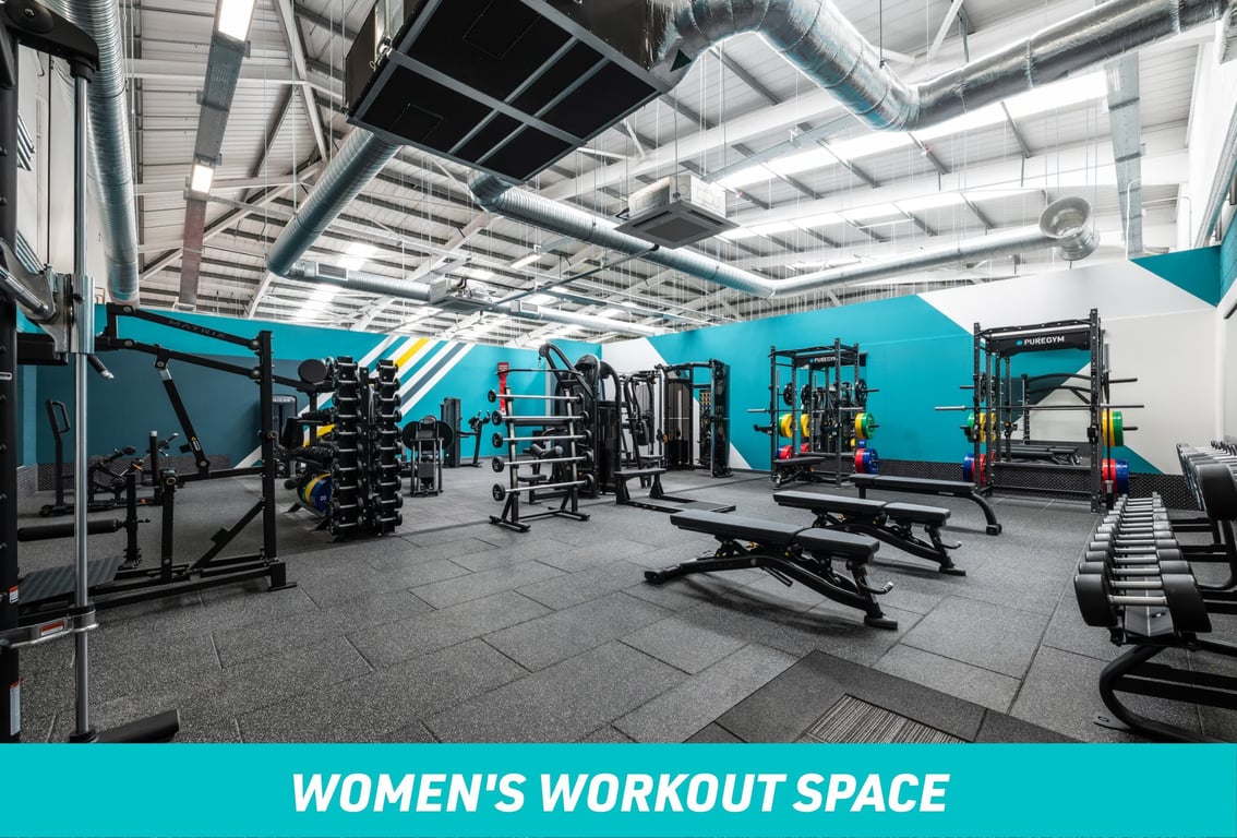 PureGym Wakefield Women's Workout Space: row of benches and dumbbells, barbells, squat racks