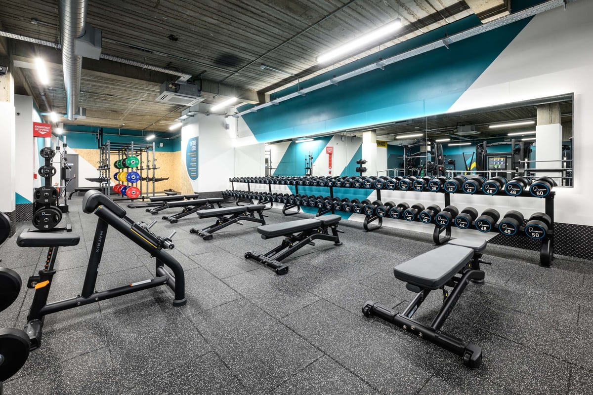 PureGym Wickford dumbbells, benches and large mirror