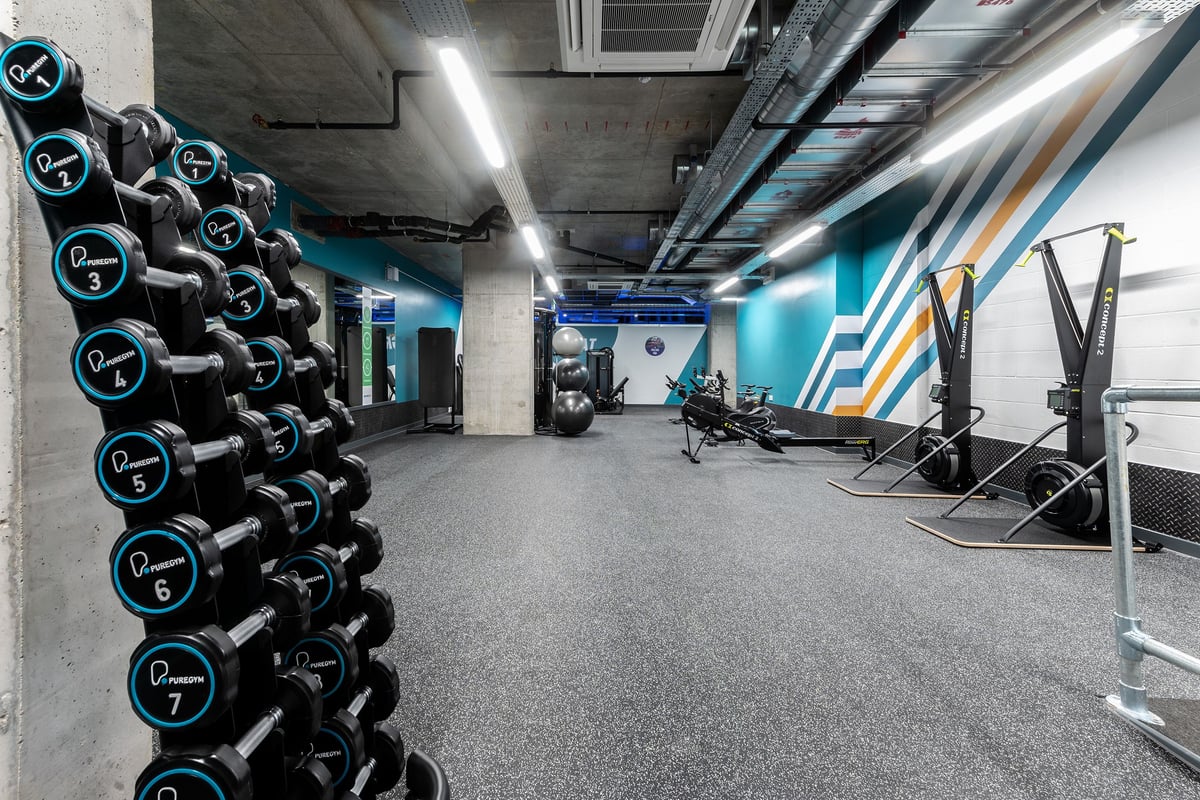 PureGym London Hoxton: Dumbbell rack, power racks, rubberized floor, mural on wall in gym setting.