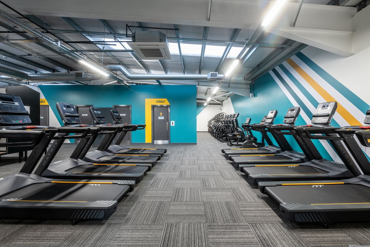 PureGym Derby Kingsway Retail Park: Rows of treadmills, vibrant colour scheme, exposed ceilings in a gym's cardio area.