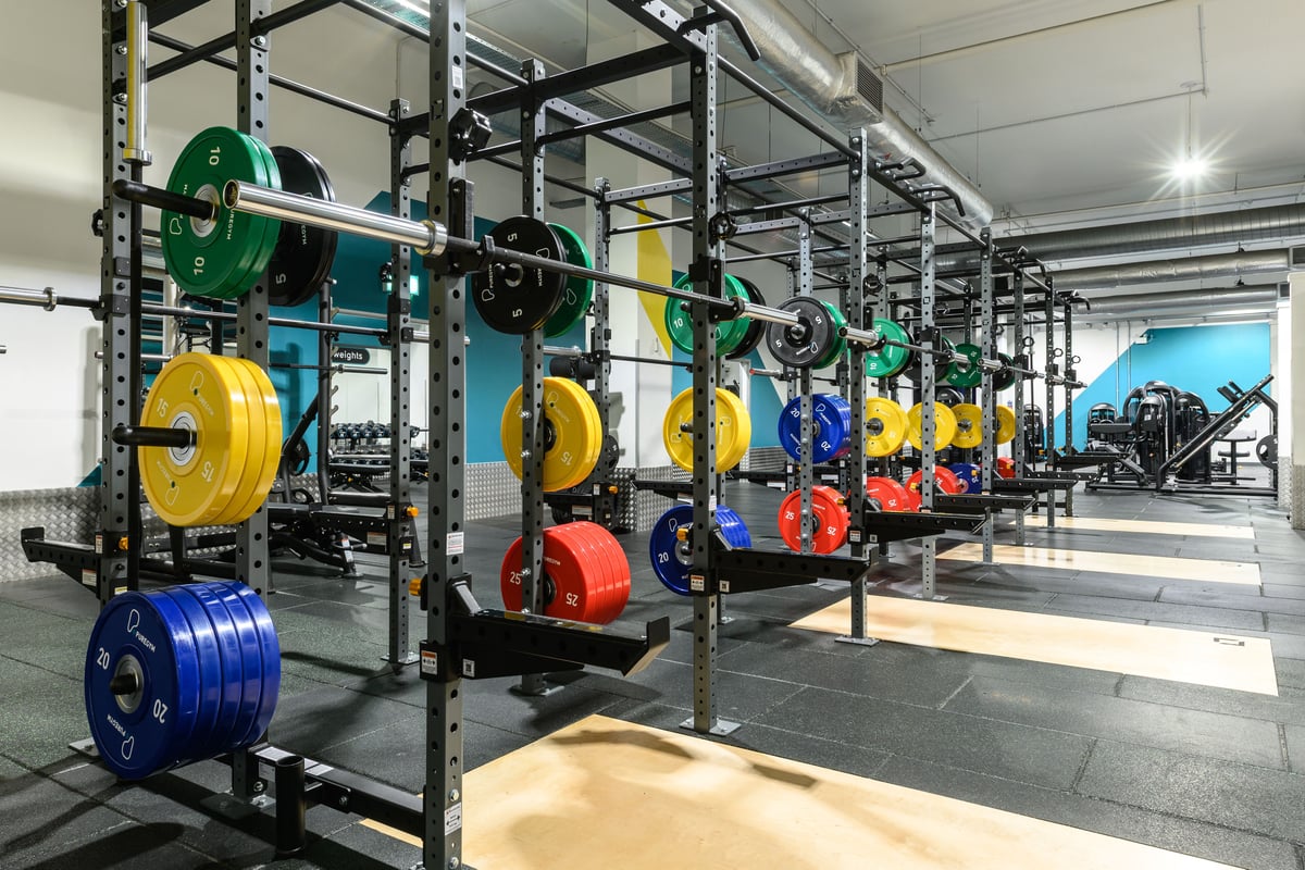 PureGym East Kilbride: functional training rig in a gym