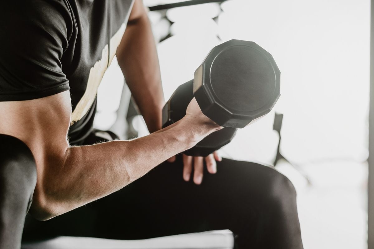Uomo che esegue curl per bicipiti con manubri da seduto in palestra, muscoli definiti visi