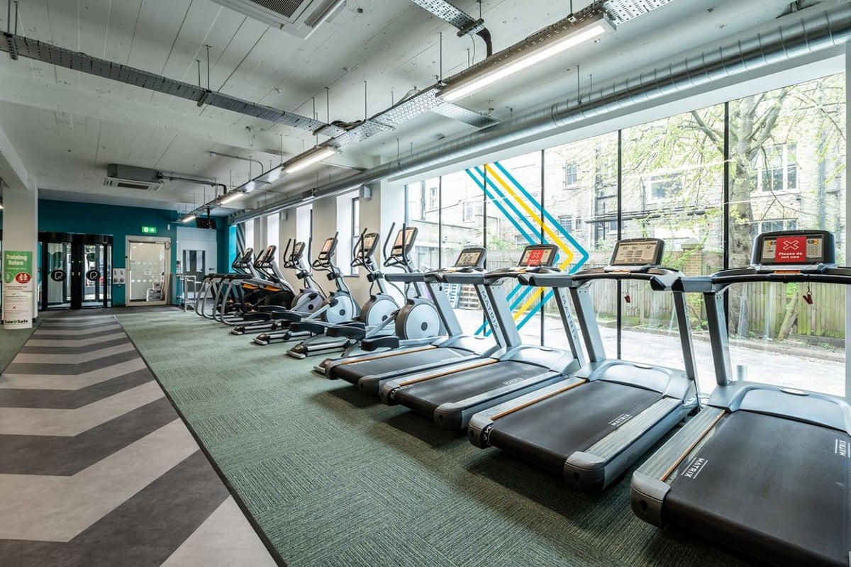 PureGym London Holloway Road: Rows of treadmills, exercise bikes facing floor-to-ceiling windows in a modern gym setting.