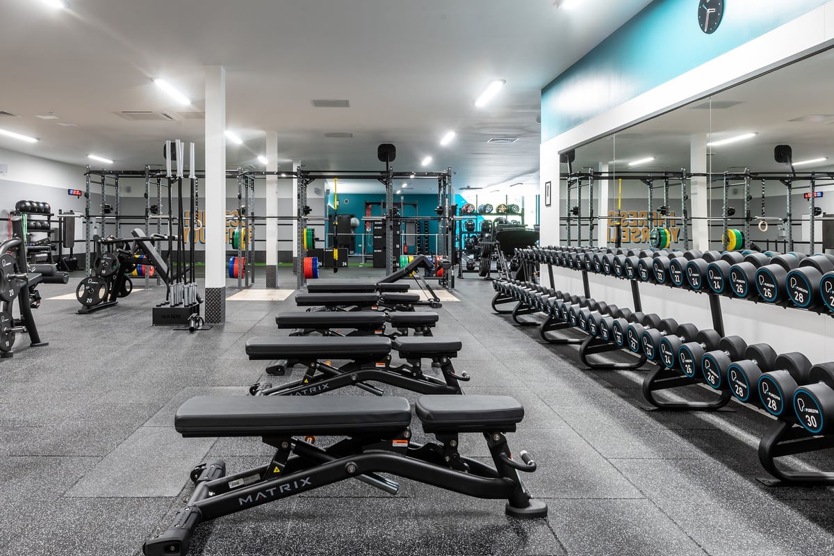 PureGym Knaesborough: Squat racks, benches, dumbbells, weight plates, and rubberised flooring in a well-equipped gym.