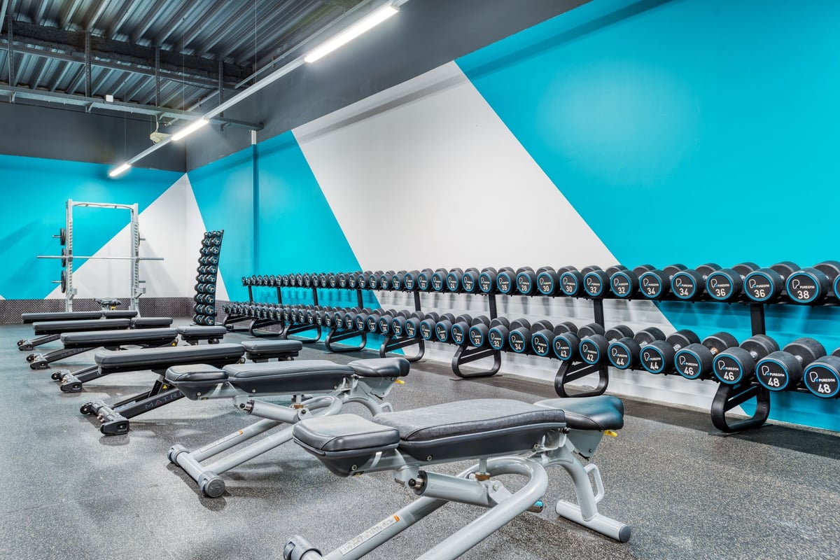 PureGym Bachenbülach : rangées d'haltères et de bancs de musculation dans la zone de musculation d'une salle