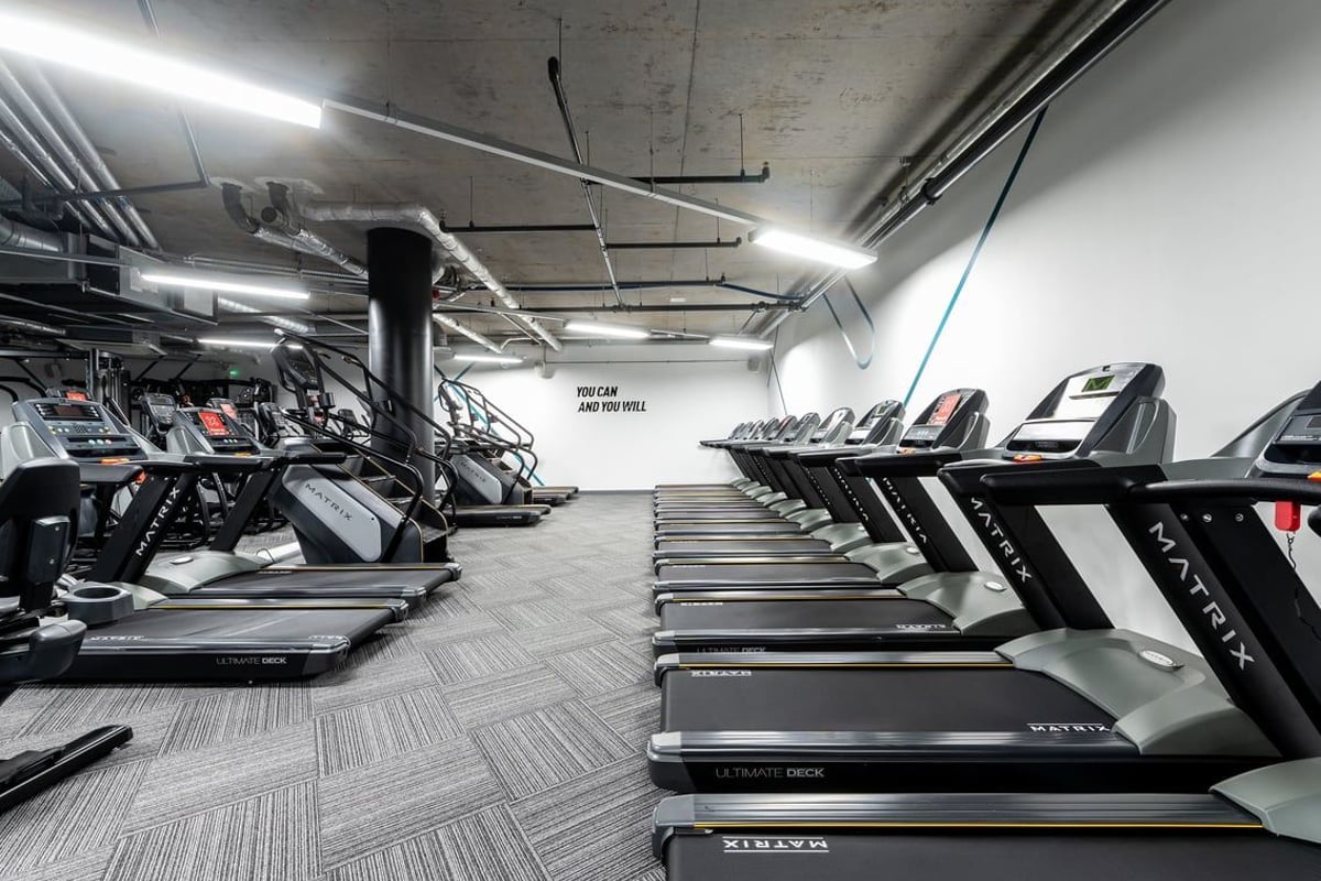PureGym London Camberwell New Road: Rows of treadmills and other cardio machines in a basement-like gym space.