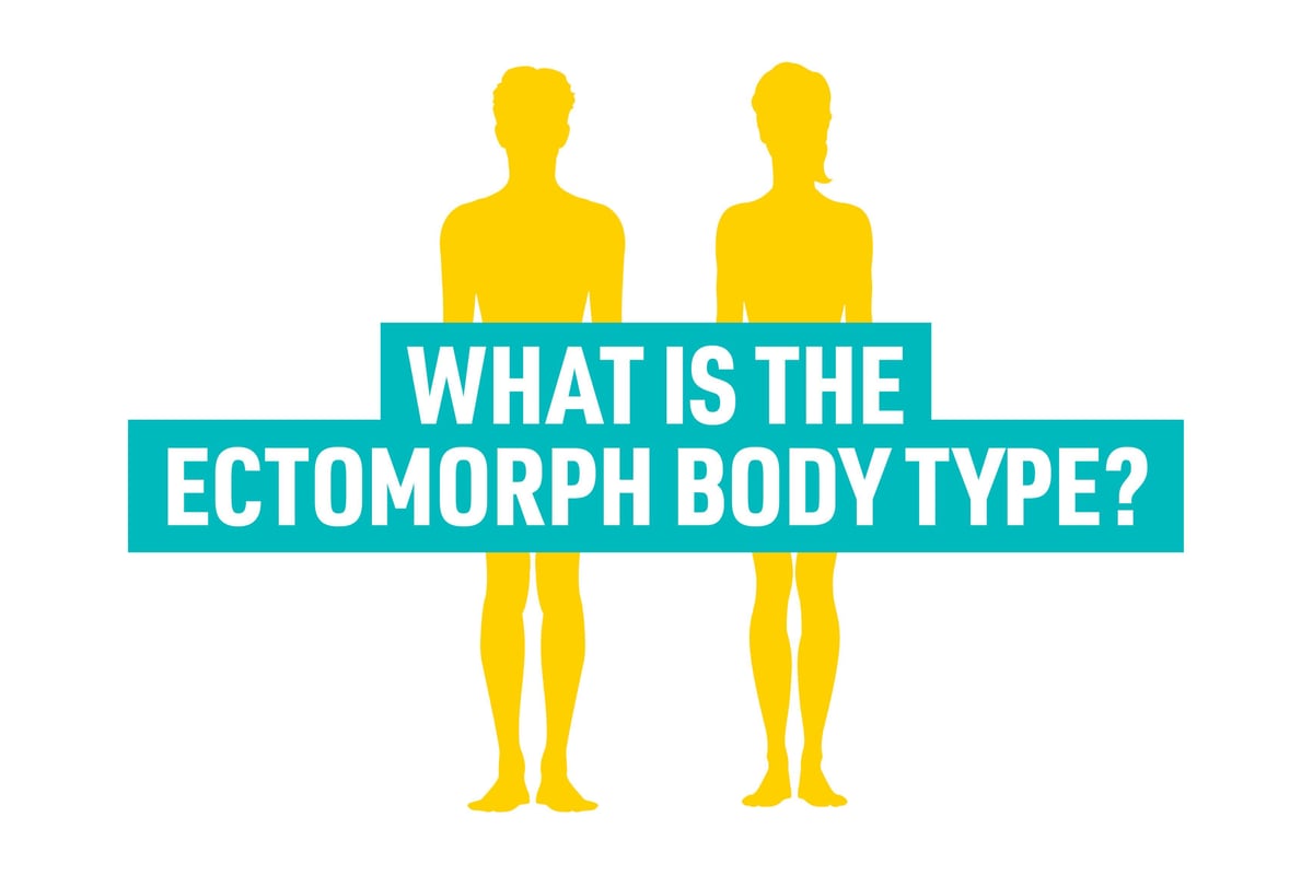 Ectomorph Body Type