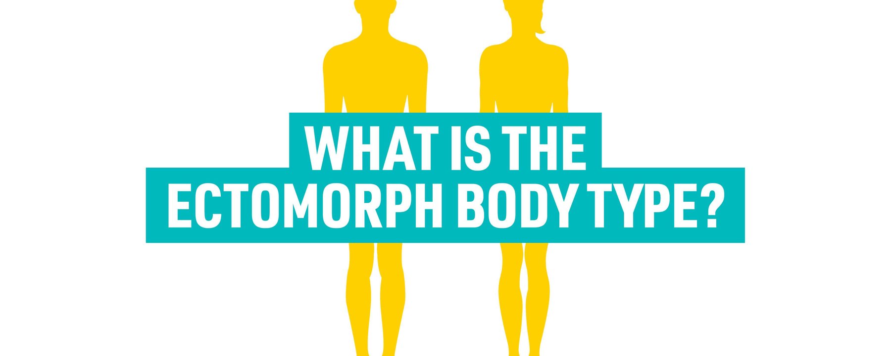 Ectomorph Body Type