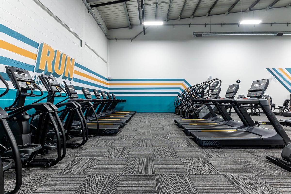 PureGym Watford Waterfields Retail Park: Rows of treadmills and elliptical trainers in a gym with colourful wall mural.