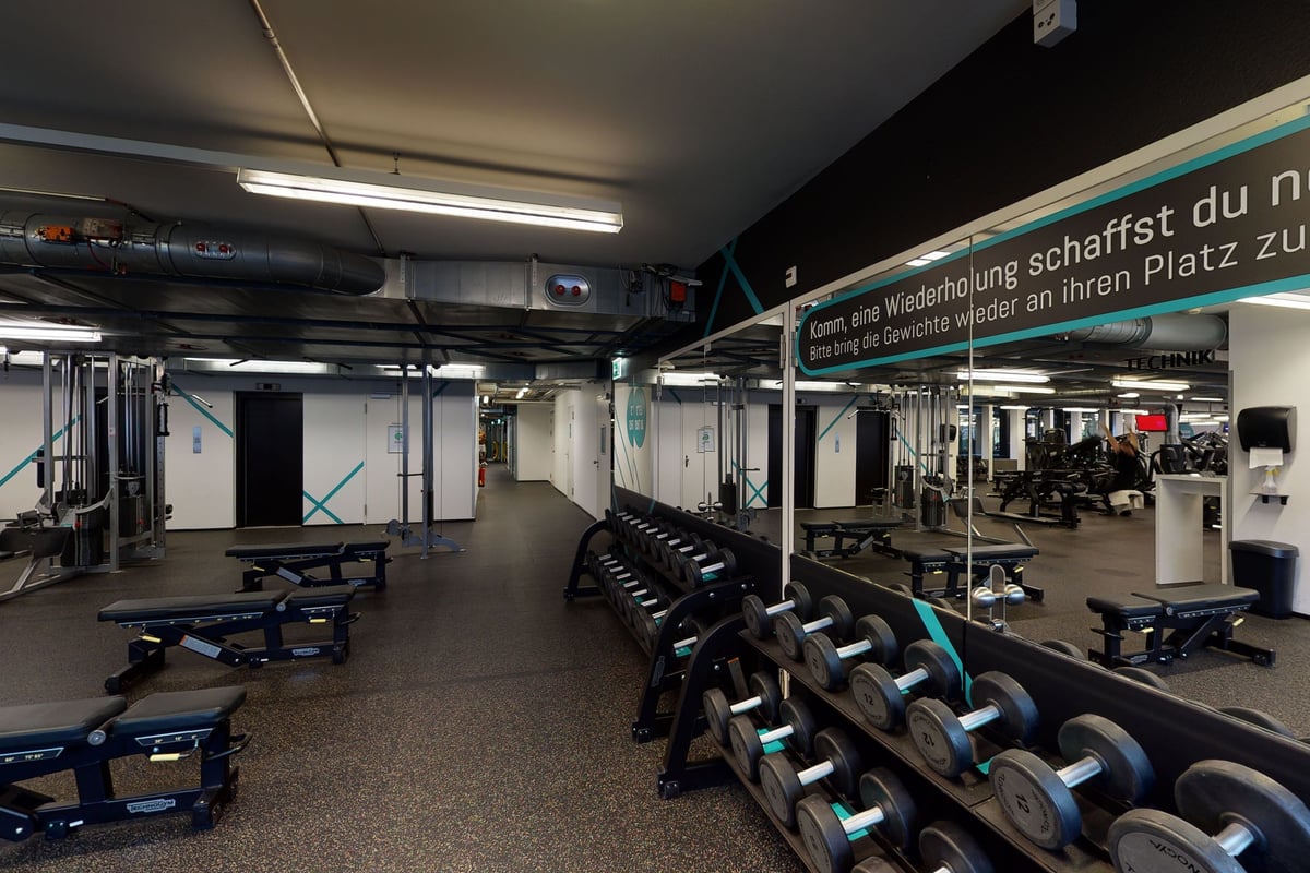 PureGym Basel Clara Huus: Keller des Fitnessraums mit Reihen von Gewichtheberbänken, Freihanteln und Lagerregalen für Geräte.