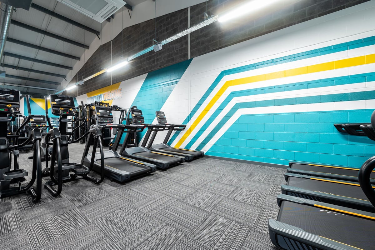 PureGym Aberdare: Treadmills, exercise bikes, weightlifting area with racks and mirrors along vibrant striped wall mural.