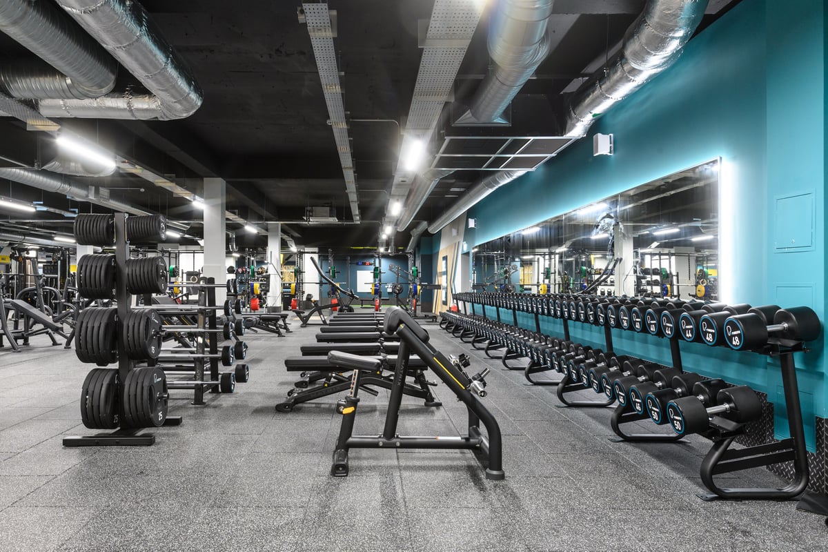 PureGym Sale free weights area
