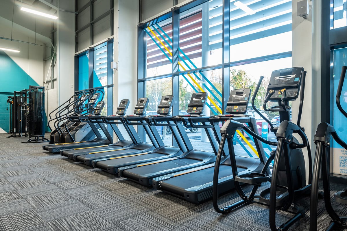 PureGym Alton: Row of treadmills in a gym studio with colourful stained glass window effect wall panels.