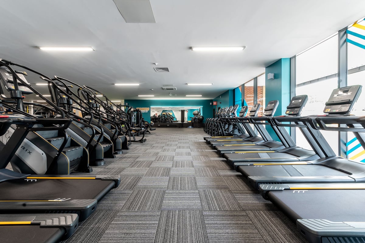 PureGym Knaesborough: Rows of treadmills, ellipticals, and stationary bikes in a bright gym facility.