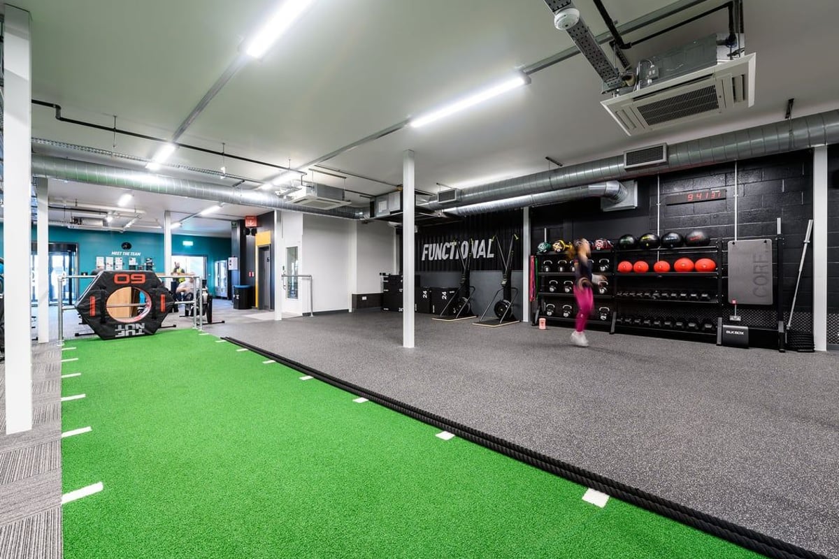 PureGym St Albans: Functional training area with green turf, freeweights, exercise balls, and mirrored walls.