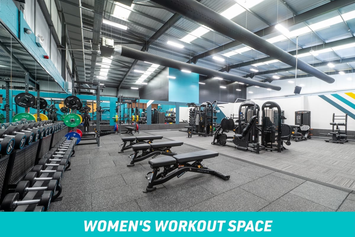 PureGym Wolverhampton South Women's Workout Space: row of dumbbels and benches with fixed pin machines and squat racks in the background