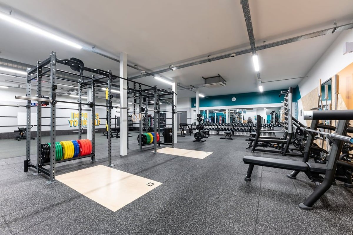 PureGym Heanor: Squat racks, weight plates, benches, rubberized flooring in a spacious weight training area.